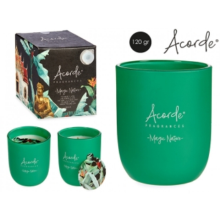 Acorde Sviečka magic nature 120g